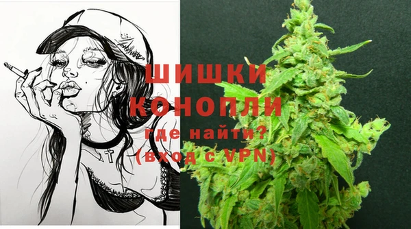 ECSTASY Медногорск