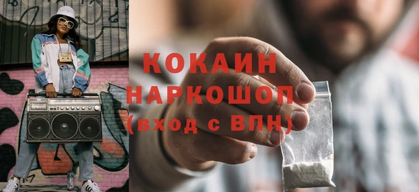 шишки Медвежьегорск