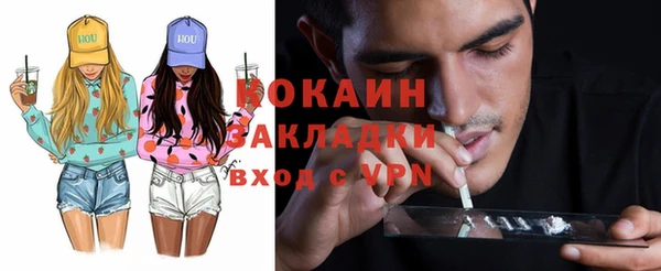 шишки Медвежьегорск