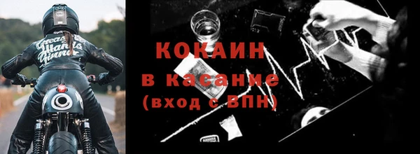 шишки Медвежьегорск