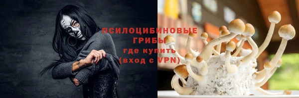 ECSTASY Медногорск