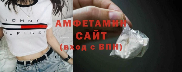шишки Медвежьегорск