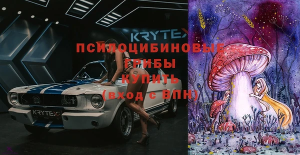шишки Медвежьегорск