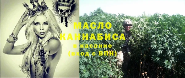 ECSTASY Медногорск