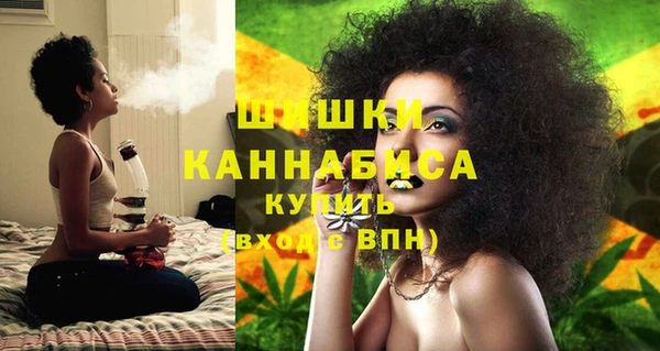 шишки Медвежьегорск