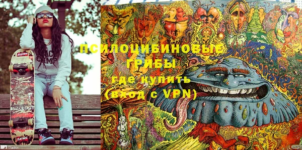 ECSTASY Медногорск
