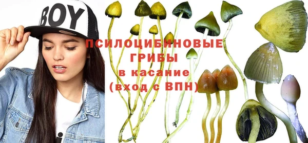 шишки Медвежьегорск