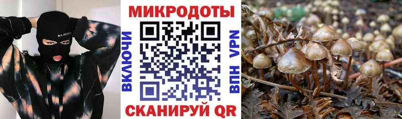 Псилоцибиновые грибы GOLDEN TEACHER  Купить  Пугачёв 